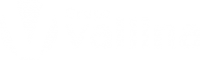 grupo-vallina grupo vallina